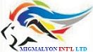 Migmalyon international Services Ltd